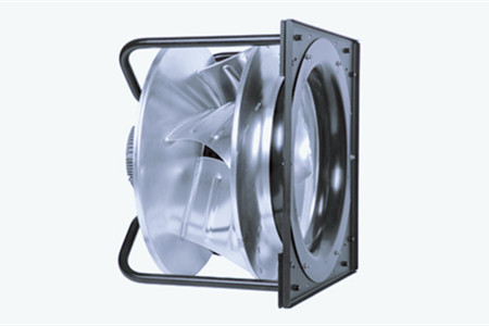 无蜗壳直流丝瓜视频黄色免费