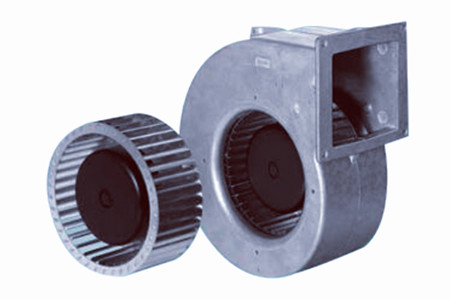 直流丝瓜视频黄色免费